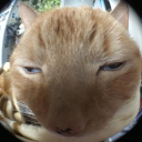 dogboy#4175's avatar