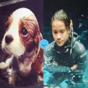 chrissmassevel avatar