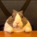 floooter
