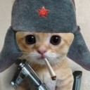 Profilbild för noxi