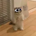 el_menorlokillo avatar