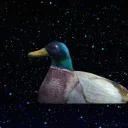 tobotimus