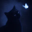imyassien's Avatar