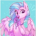 silverstream45