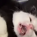 alex12345_1234 avatar