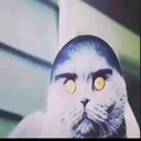 Avatar de zykablyat