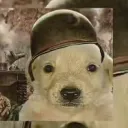 ed2532g_38039 avatar