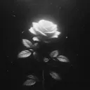 __vyntrixx