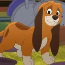 ashisgreat123 avatar