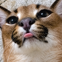 Discord Avatar