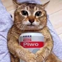 avatar inż. sos carbonara