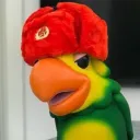 lorokoblyat