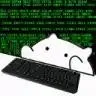 codingtothecore
