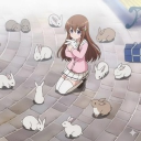 avatar novi