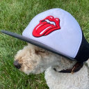 peanutbettervr_60755's Avatar