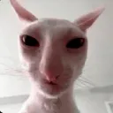 jnnes
