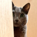 あーくん