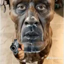 raynvasdjd