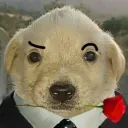 elvergalarga13827 avatar