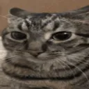 no to mamy kurcze depot