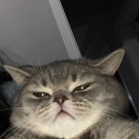 avatar Dž.