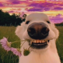 johndaguls30's avatar