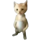 laneuronamepica avatar