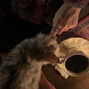 avatar Ameerah Yousuf