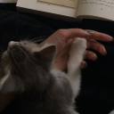 avatar أخت أشعرية و مالكية