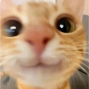 ZeroD