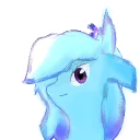 xenonli