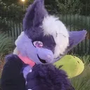 limedreaming