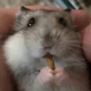 chris