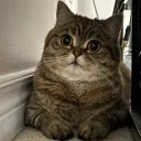 chubblen