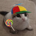 sealcat