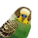 budgixous_