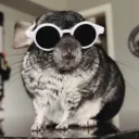 mcfuggins