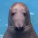 itsjordanb
