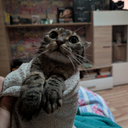 felix