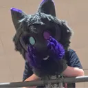 nootsponge