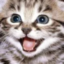 eltontito0149 avatar