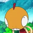 soaki_