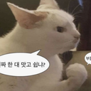 dmd0652 - 크리에이터 | 로블독