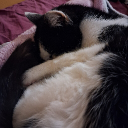 kitty_titi's Avatar
