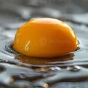 eggy0lk_