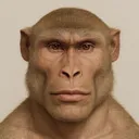 monkeysimp0970