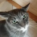 xtandi