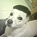 acmilly#5535's avatar