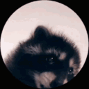 mintaz