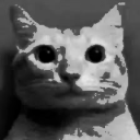avatar Apo